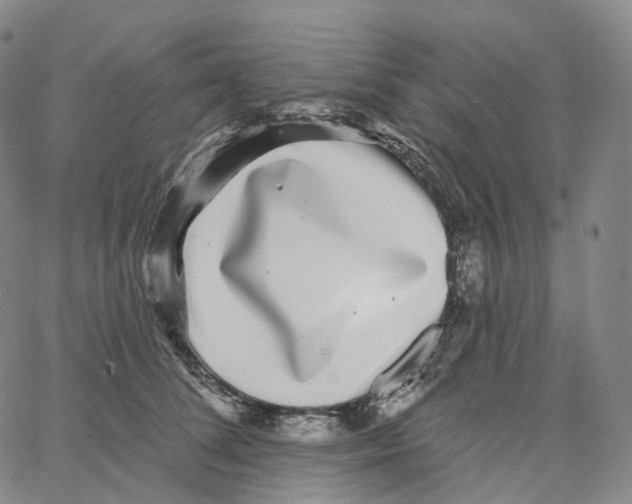 X0000062640708200601181745