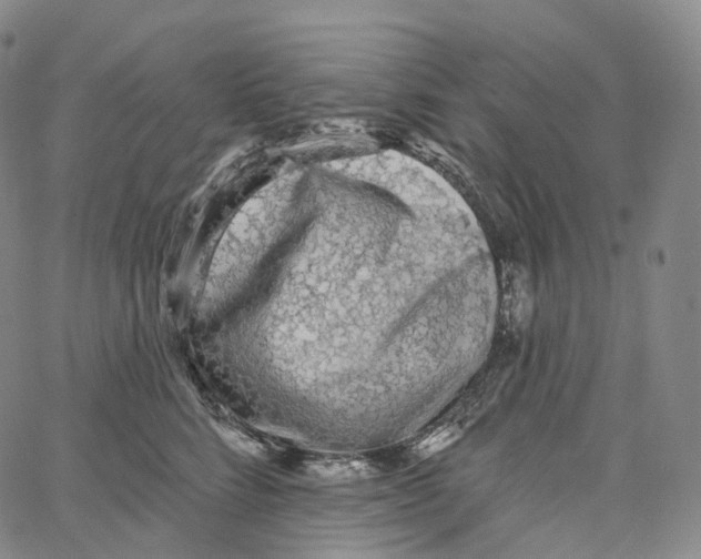 X0000062640712200601181745