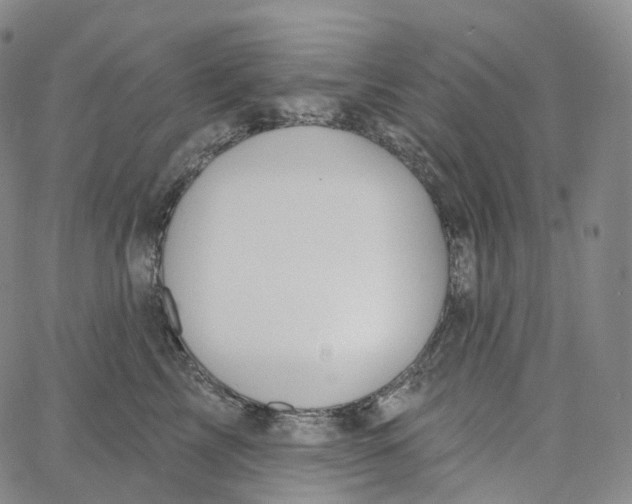 X0000062640713200601181745