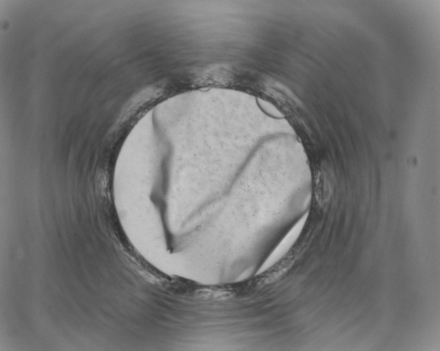 X0000062640714200601181745