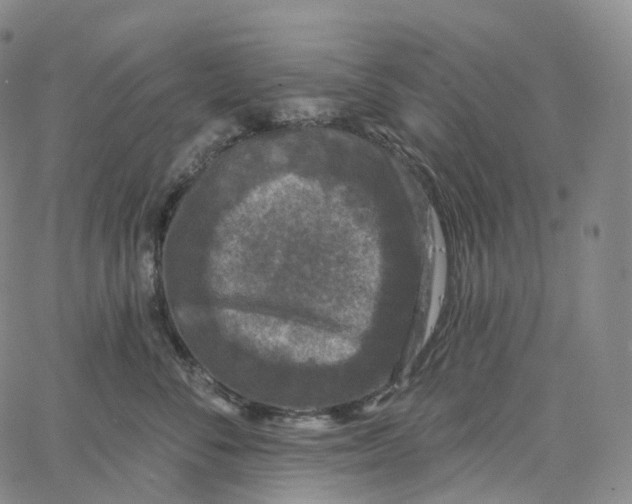 X0000062640716200601181745