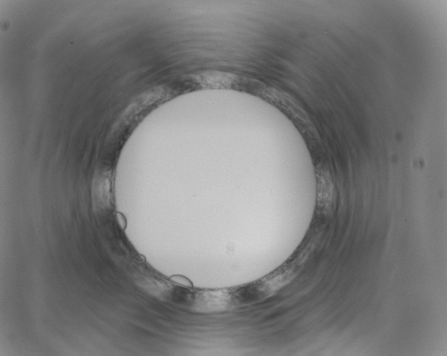 X0000062640717200601181745