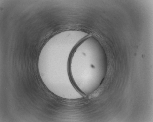 X0000062640720200601181745