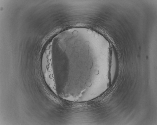 X0000062640721200601181744