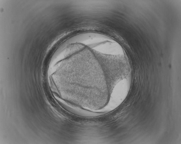 X0000062640722200601181744