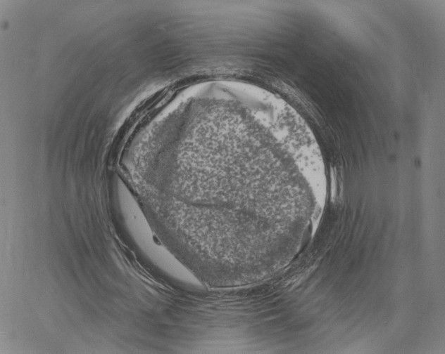 X0000062640723200601181744