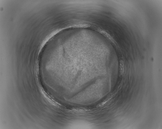 X0000062640726200601181744