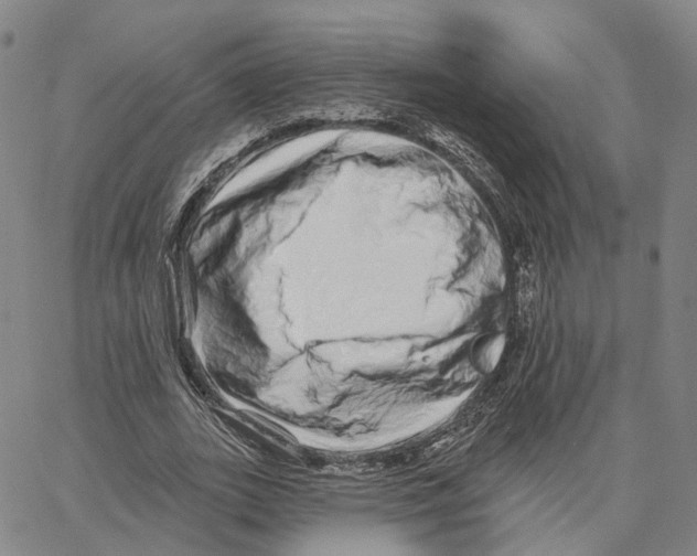 X0000062640727200601181744