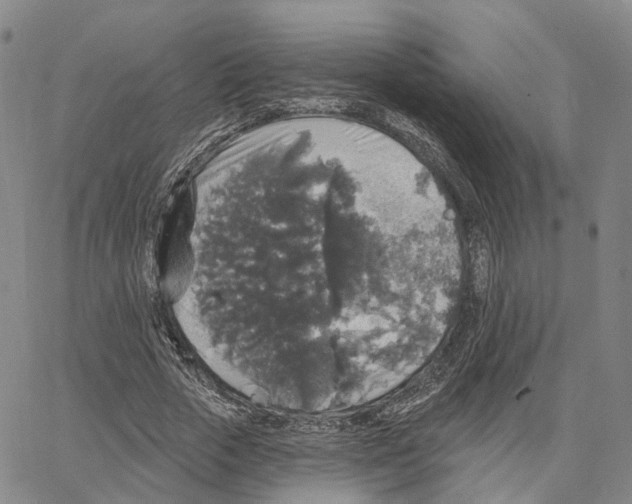 X0000062640729200601181744