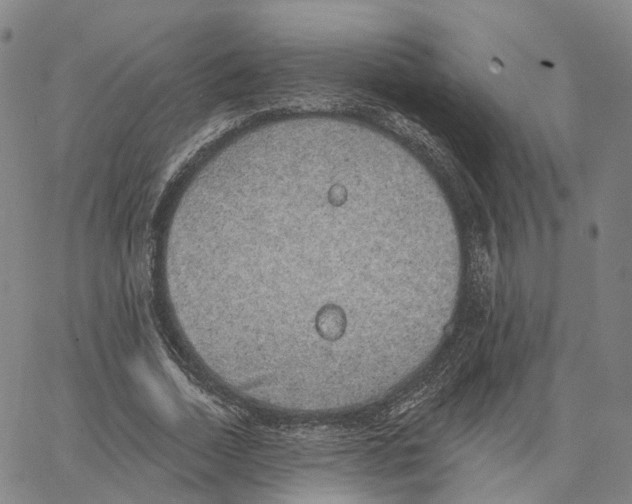 X0000062640730200601181744