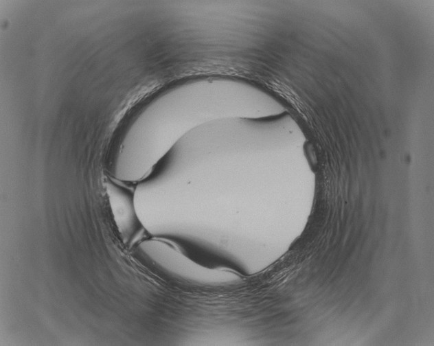 X0000062640731200601181744