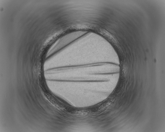 X0000062640732200601181744