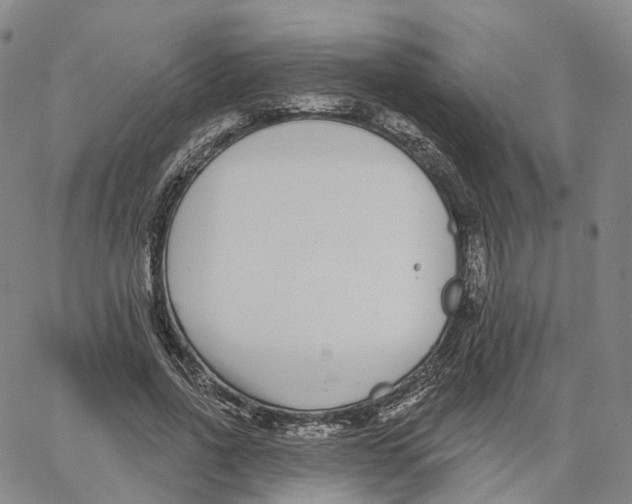 X0000062640734200601181744