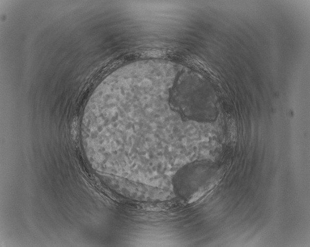 X0000062640737200601181744