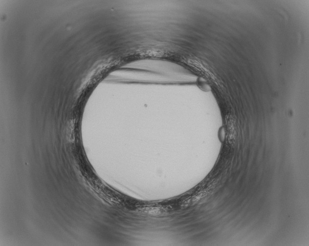 X0000062640738200601181744