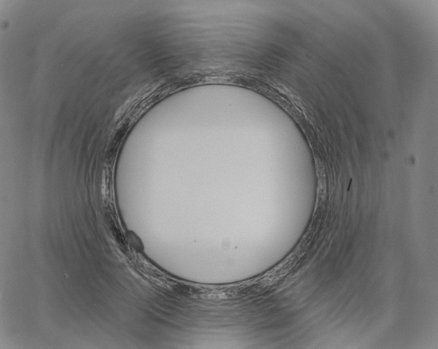 X0000062640740200601181744