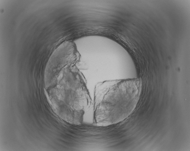 X0000062640741200601181744