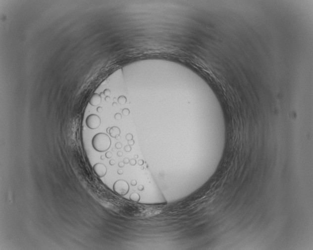 X0000062640742200601181744