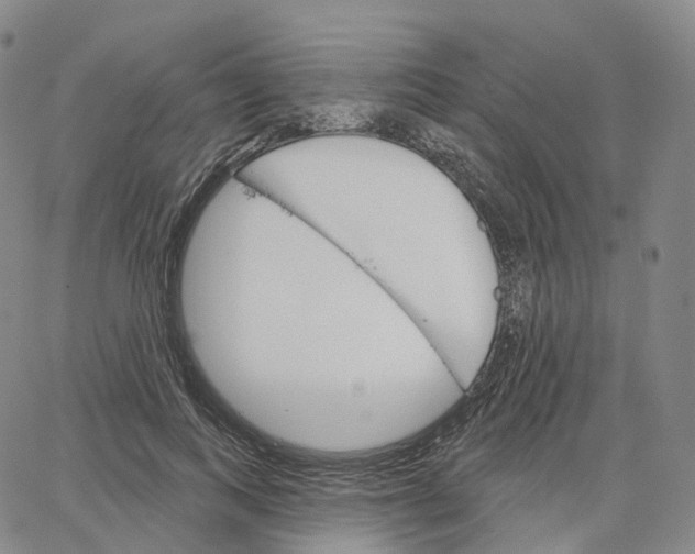 X0000062640743200601181744