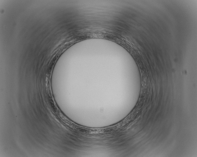 X0000062640744200601181744