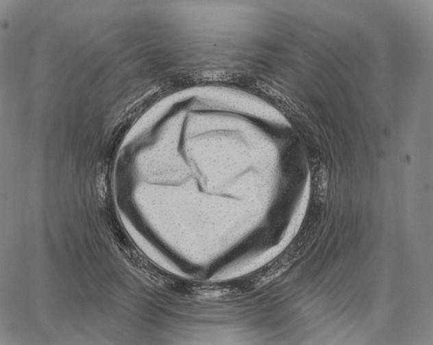 X0000062640746200601181744