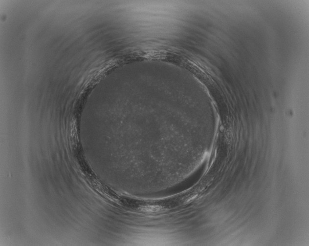 X0000062640748200601181744