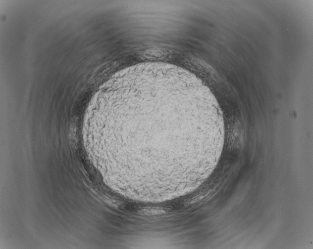 X0000062640749200601181744