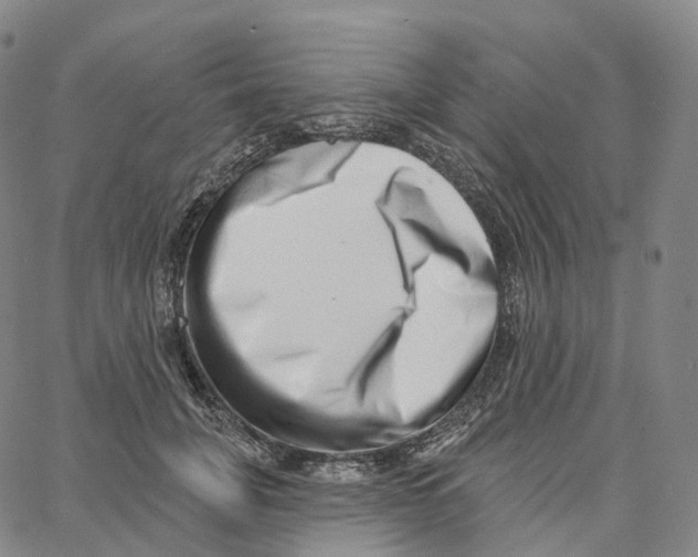 X0000062640751200601181744