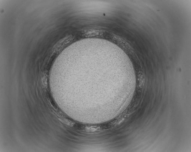 X0000062640753200601181744