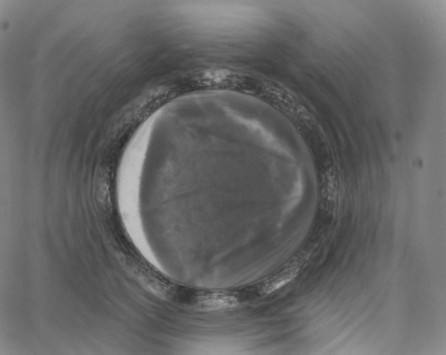 X0000062640754200601181744