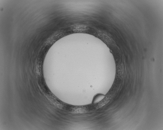 X0000062640755200601181744