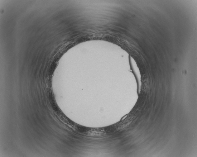 X0000062640756200601181744