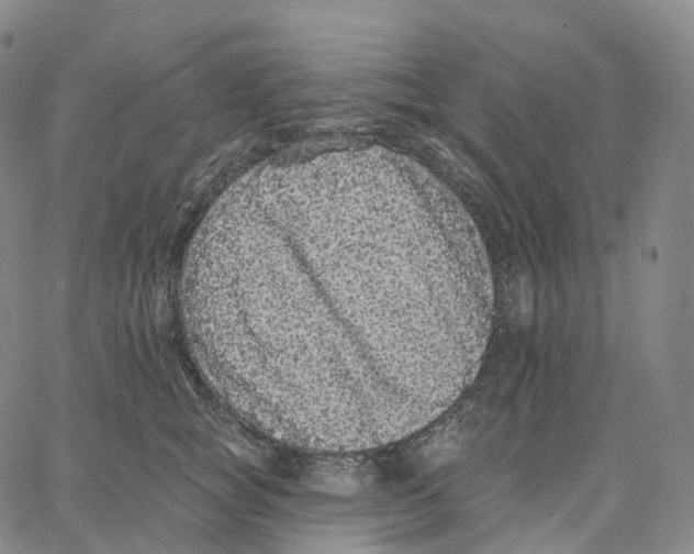 X0000062640757200601181744