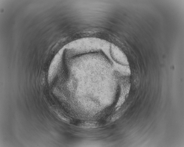 X0000062640758200601181744