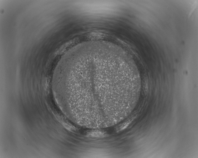 X0000062640759200601181744