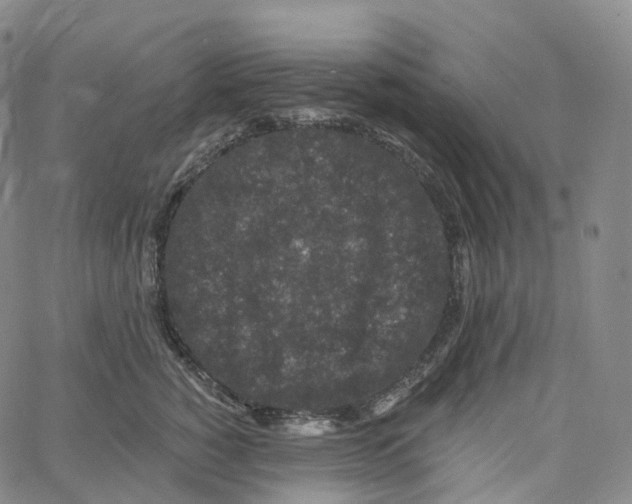 X0000062640760200601181744