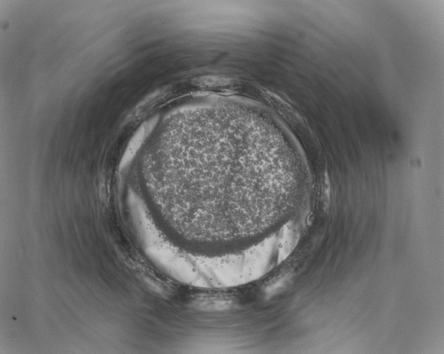 X0000062640763200601181745