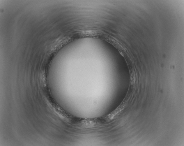 X0000062640764200601181745