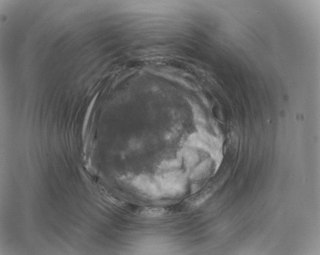 X0000062640767200601181745