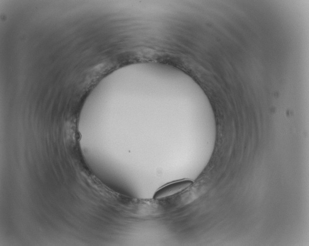 X0000062640768200601181745