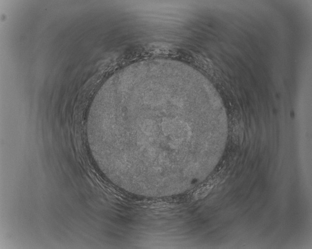 X0000062640769200601181744