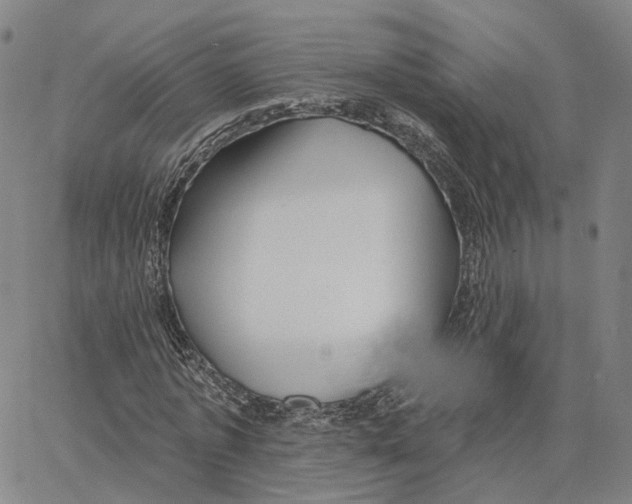 X0000062640773200601181744