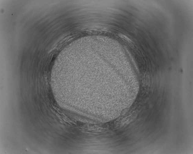 X0000062640774200601181744