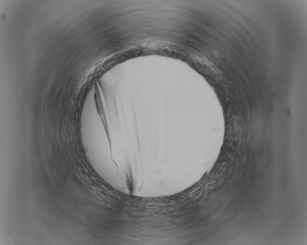 X0000062640776200601181744