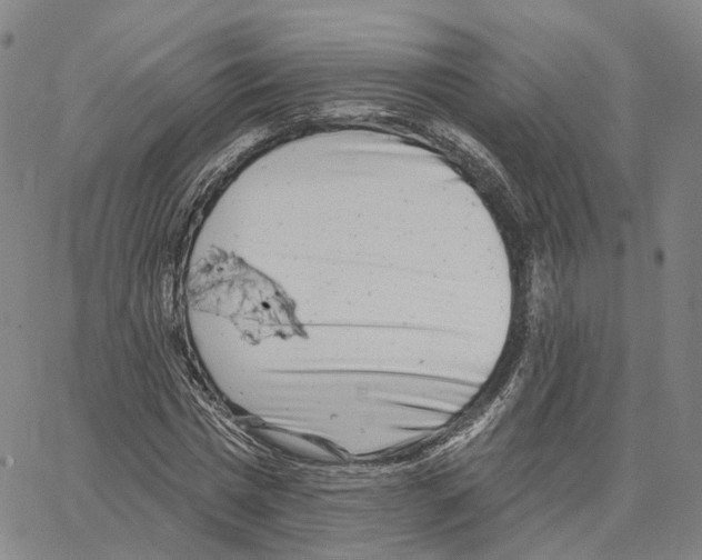 X0000062640777200601181744