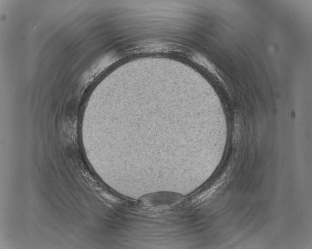 X0000062640778200601181744