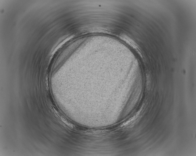 X0000062640782200601181744