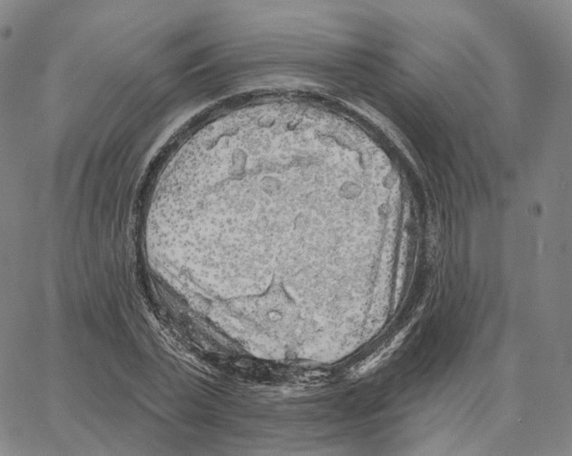 X0000062640783200601181744