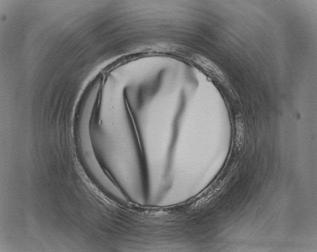 X0000062640784200601181744