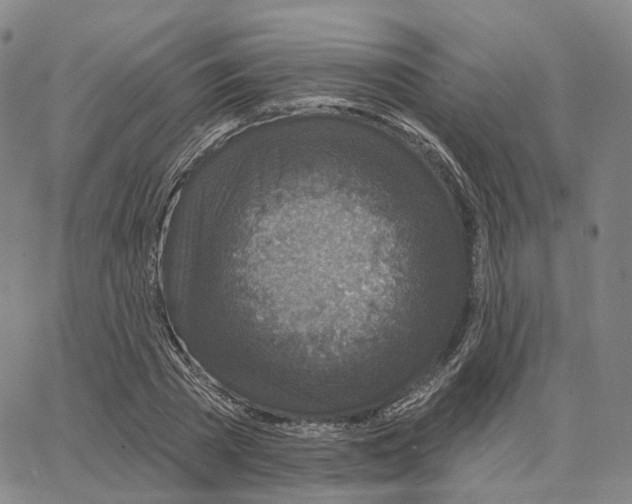 X0000062640785200601181744